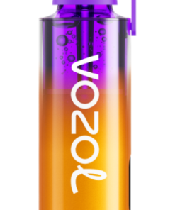 Puff Vozol Avis PZ4F235 VOZOL NEON 10000 baies mélangées