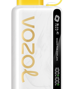 Puff Vozol Avis PZ4F25 VOZOL STAR 9000/12000 kiwi fruit de la passion goyave