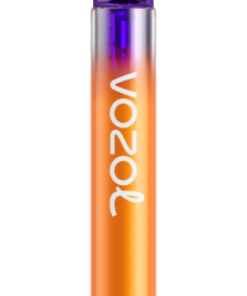Puff Vozol Avis PZ4F275 VOZOL NEON 800 fruit de la passion citron