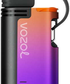 Puff Vozol Avis PZ4F325 VOZOL GEAR 4000c/6000 glace aux raisins