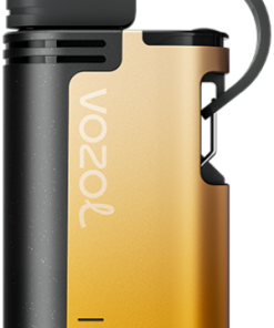 Puff Vozol Prix PZ4F326 VOZOL GEAR 4000c/6000 kiwi fruit de la passion goyave