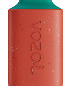 Vozol Belgique PZ4F111 VOZOL STAR 6000 pastèque fruit du dragon