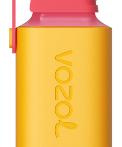 Vozol Belgique PZ4F351 VOZOL GEAR 600 kiwi fruit de la passion goyave