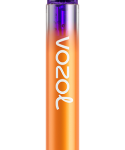 Vozol Prix PZ4F253 VOZOL NEON 800 pêche, mangue, pastèque