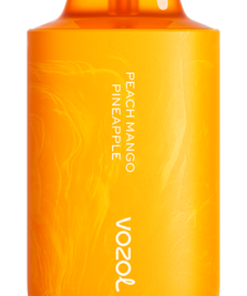 Vozol Prix PZ4F63 VOZOL STAR 6000/8000v2 pêche mangue ananas