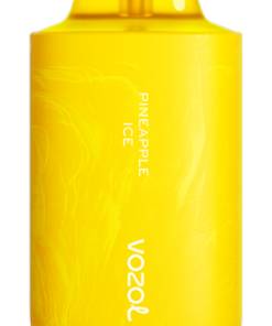 Vozol Puff Prix PZ4F64 VOZOL STAR 6000/8000v2 glace à l'ananas