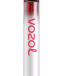 Vozol Vape Avis PZ4F259 VOZOL NEON 800 bubble-gum à la pastèque