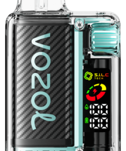 Vozol Vape Avis PZ4F9 VOZOL VISTA 16000/20000 menthe de Miami