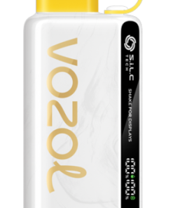 Vozol Vape Jetable PZ4F38 VOZOL STAR 9000/12000 limonade cerise-pêche