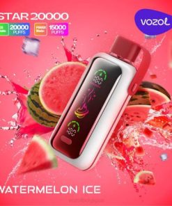 Vozol Vape Jetable PZ4F398 VOZOL STAR 20000 glace à la pastèque