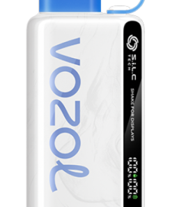Vozol Vape PZ4F22 VOZOL STAR 9000/12000 tempête de bleuets